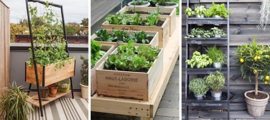vegetable garden on the terrace