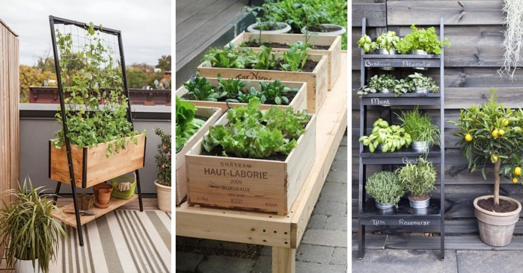vegetable garden on the terrace