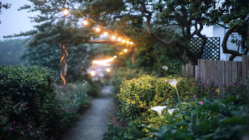 string lights hung from trees and arches to illuminate the garden