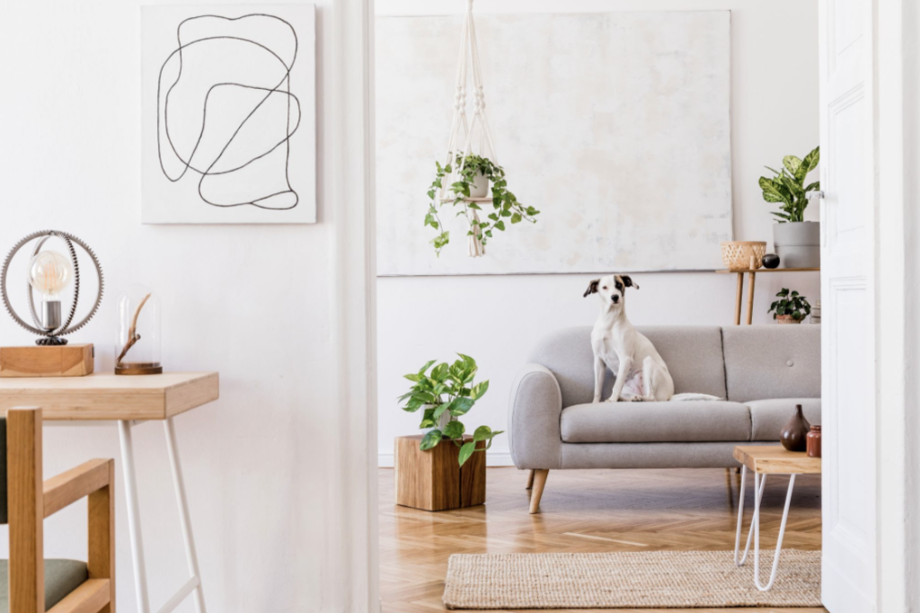 Tendinta de design pentru spatii definite si materiale naturale - Sursa: Followtheflow, Shutterstock