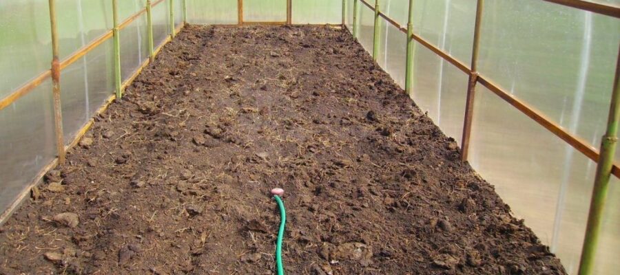 greenhouse interior