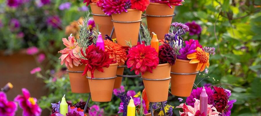 Auricula Stand