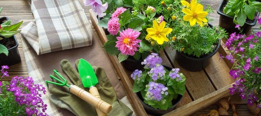 Gardening and tools.